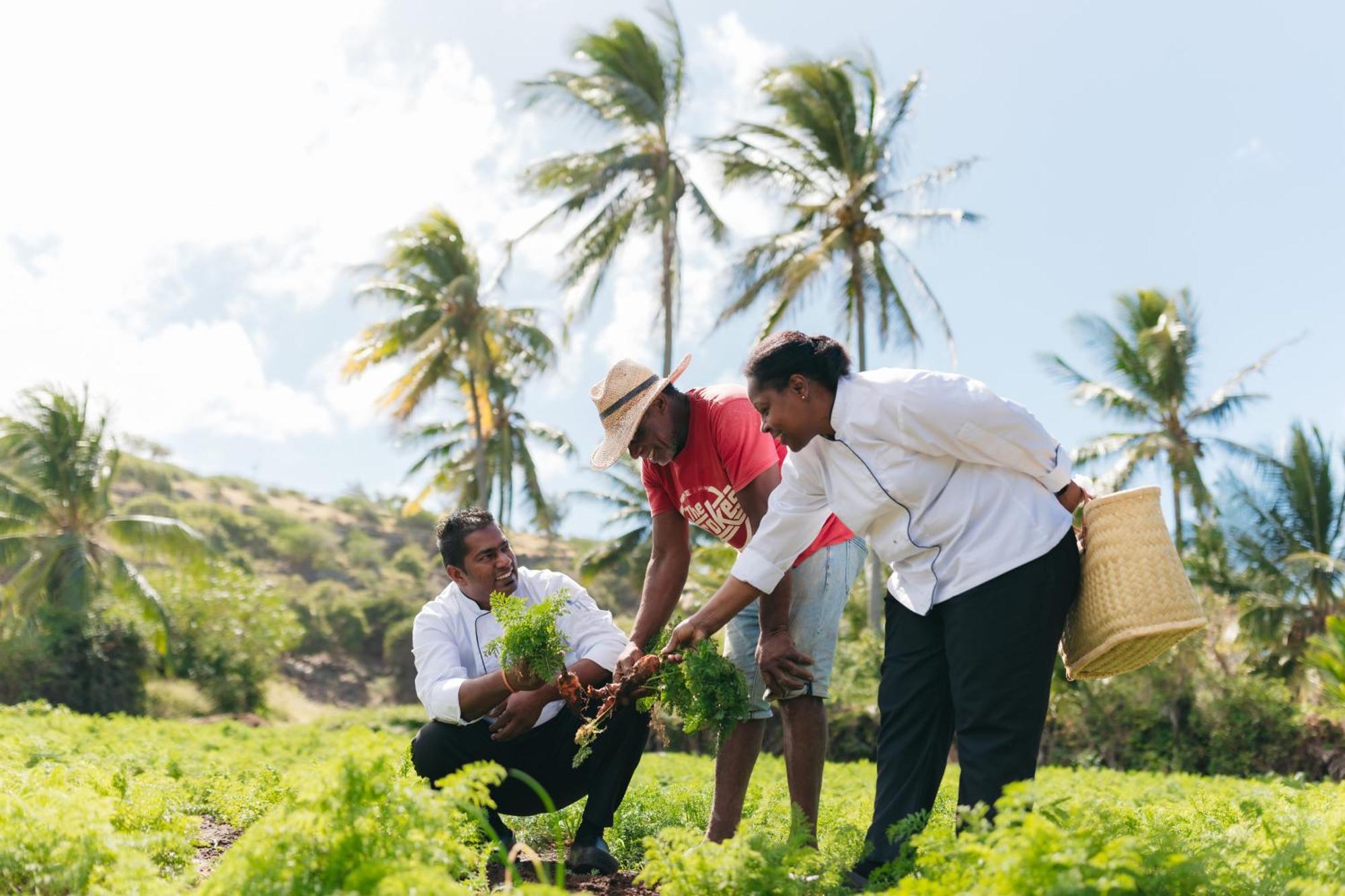 Cotton Bay Resort & Spa Trefles Buitenkant foto